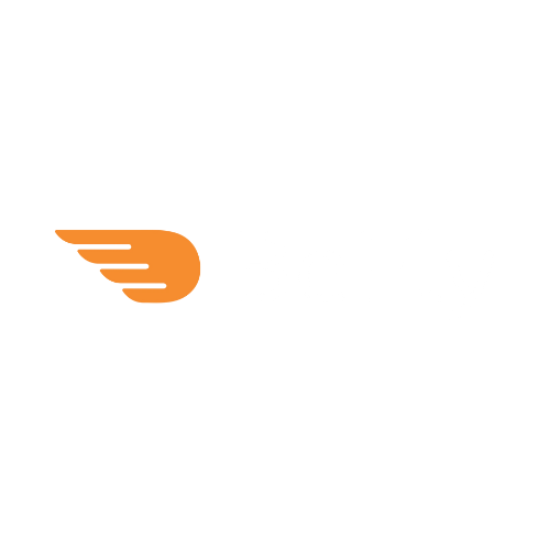 BeFly Logo
